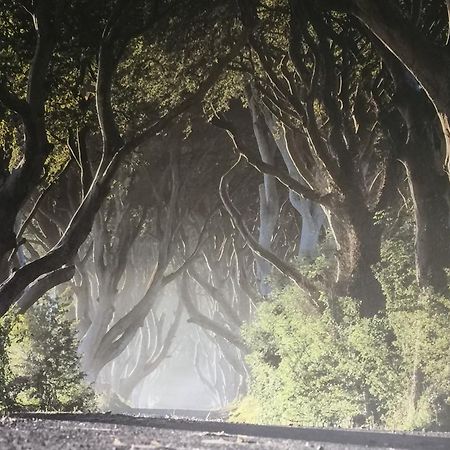 Dark Hedges Cottage Ballycastle Exterior foto